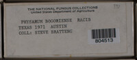 Image Associated With the Occurence